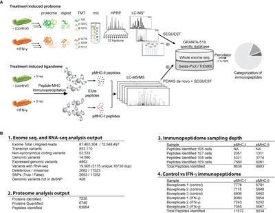 An Integrated Genomic, Proteomic, and Immunopeptidomic Approach to Discover Treatment-Induced Neoantigens